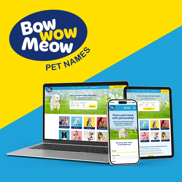 Bow Wow Meow Pet Names - Website Design